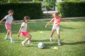 为什么主审需要在每次击球入地后即刻报废该颗棒球